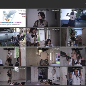 CN-2993.mp4