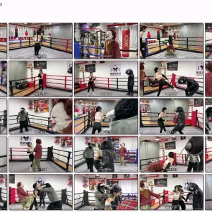 SF-FT016 XiaoShuang VS 3man