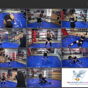 MF-MB25-Yiyin VS Aluo.mp4
