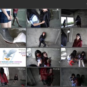 VIP-054.mp4